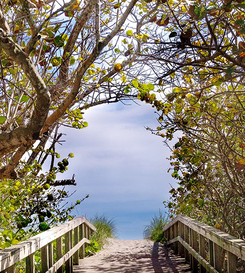 Florida Court Reporting; Walkway to the beach